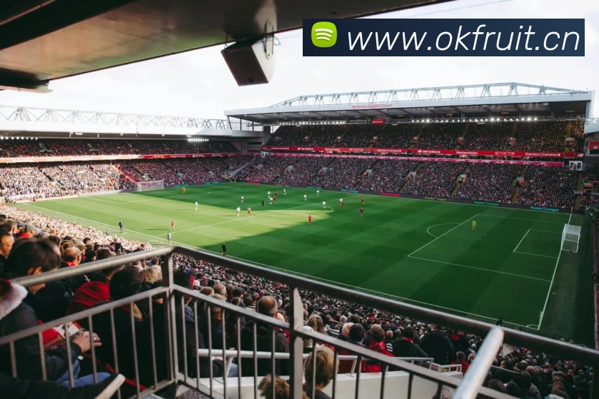 世界杯购彩指南解析体育彩票购买流程与规则